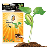 NG Card Friends Forever