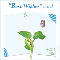NG Card Best Wishes