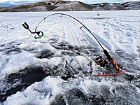 Guard Dog Pro II Hooksetter Guard Dog Pro II Hooksetter