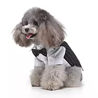 Dog Tuxedo Wedding Dress Pattern Cross-Border