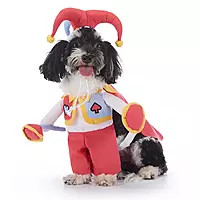 Funny Jester Dog Costume – Cute Clown Pet Outfit with Hat