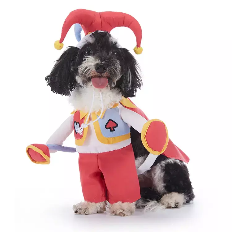 Funny Jester Dog Costume – Cute Clown Pet Outfit with Hat