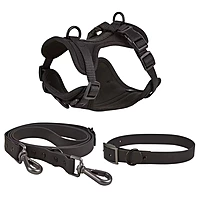 Premium Dog Collar, Harness & Leash Set – Adjustable Soft Padded