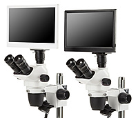 NexiusZoom (EVO)