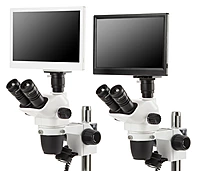NexiusZoom (EVO)
