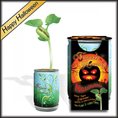 Natures Greeting grow kit "Happy Halloween" | Happy Halloween plant