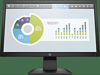 HP P204v 49.53 CM (19.5) Monitor
