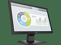 HP P204v 49.53 CM (19.5) Monitor