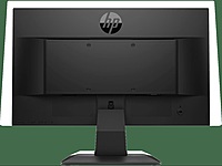 HP P204v 49.53 CM (19.5) Monitor