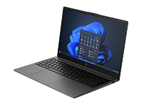 HP 250R 15.6 inch G10 Notebook PC (C78E8AT)