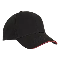 6 Panel Sandwich Peak Cap