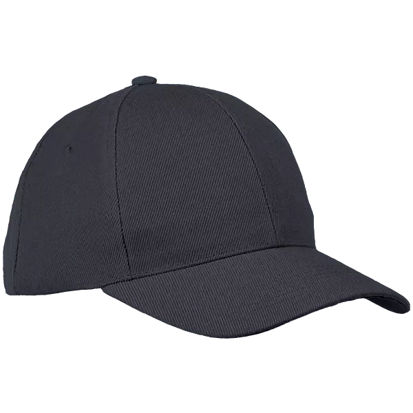 6 Panel Raven Cap