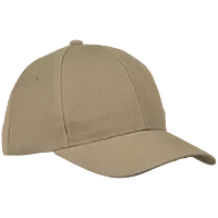 6 Panel Raven Cap