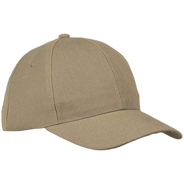 6 Panel Raven Cap