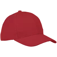 6 Panel Raven Cap
