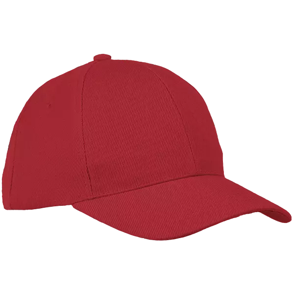 6 Panel Raven Cap