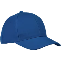6 Panel Raven Cap
