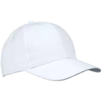 6 Panel Raven Cap