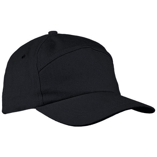6 Panel Carbon Cap