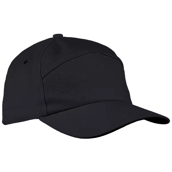 6 Panel Carbon Cap