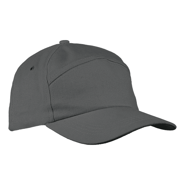 6 Panel Carbon Cap