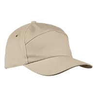 6 Panel Carbon Cap