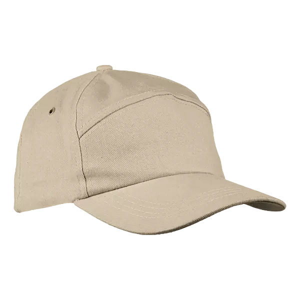 6 Panel Carbon Cap
