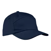 6 Panel Carbon Cap