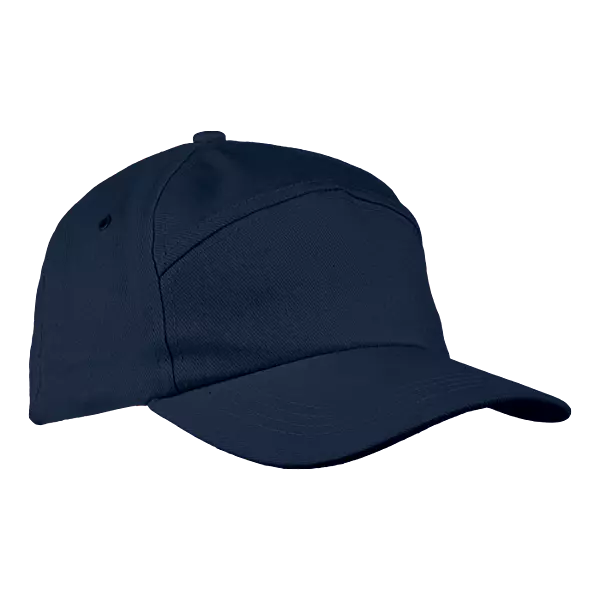 6 Panel Carbon Cap