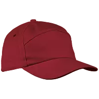 6 Panel Carbon Cap