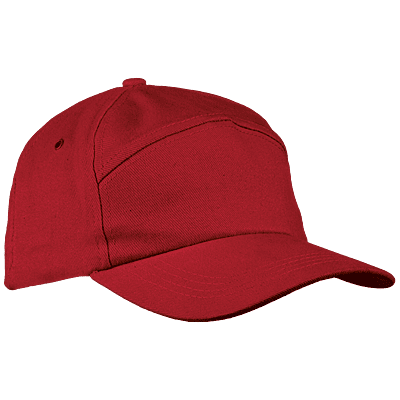 6 Panel Carbon Cap