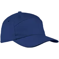 6 Panel Carbon Cap