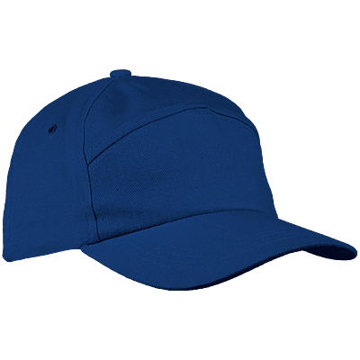 6 Panel Carbon Cap