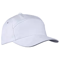 6 Panel Carbon Cap