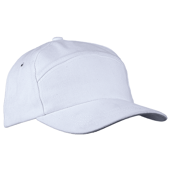6 Panel Carbon Cap