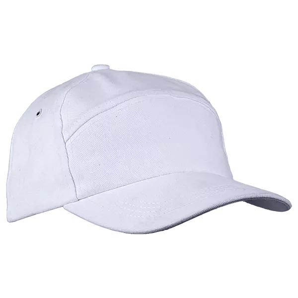 6 Panel Carbon Cap