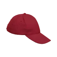 6 Panel Boost Cap