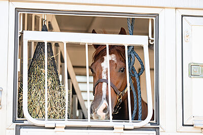 Hay Chix Half Bale Net