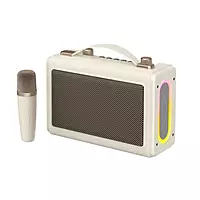 Havit SK823BT Wireless Retro Portable Karaoke Bluetooth Speaker