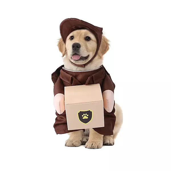 Pet Funny Courier Uniform Brown Up