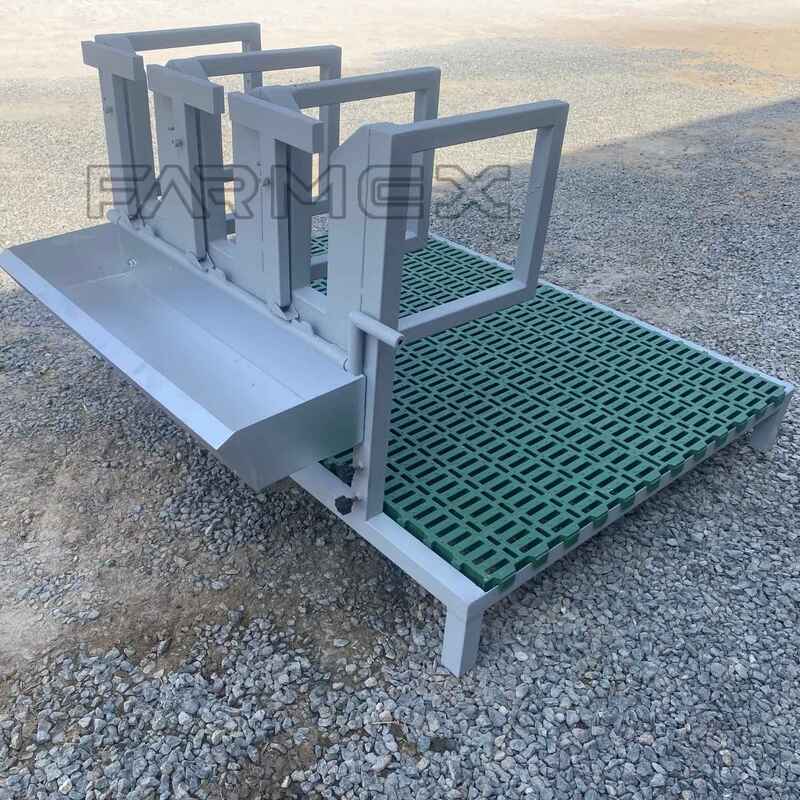 Headlock for Goat Sheep 3U with Base-Anti Rust Hot-Dip Galvanised