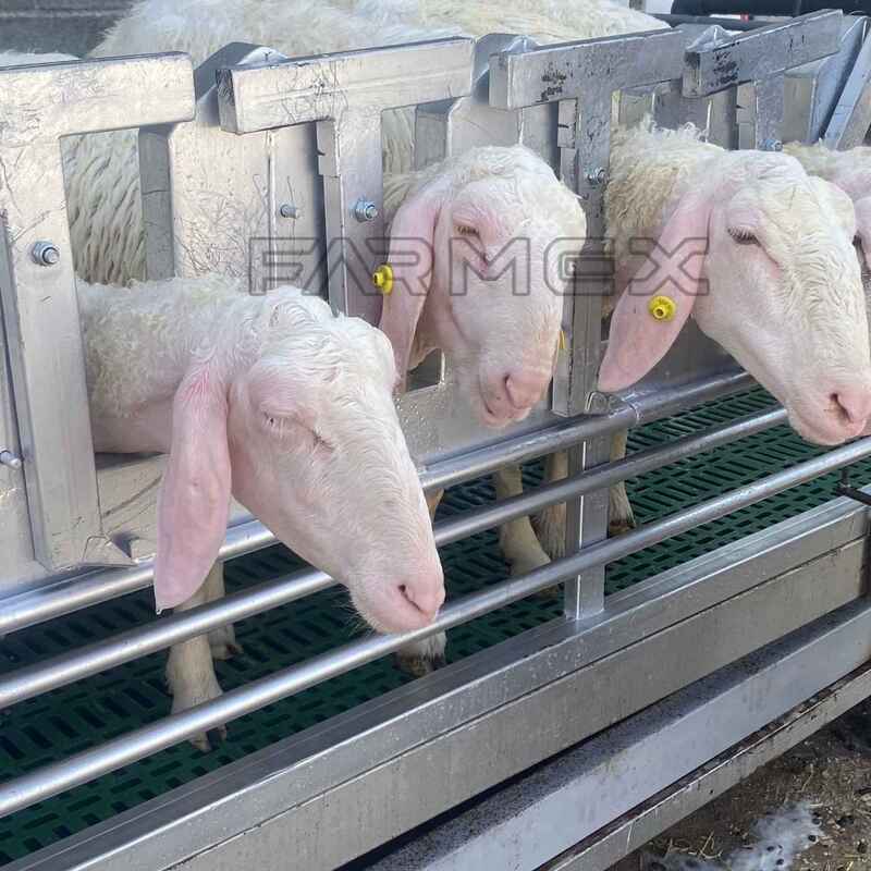 Headlock for Goat Sheep 3U with Base-Painted Metal Steel