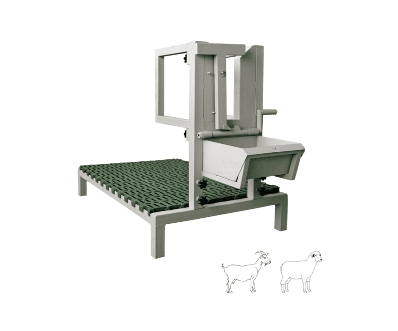 Headlock for Goat Sheep 1U with Base-Painted Metal Steel