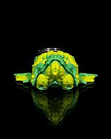 Heart of the Forest Keychain