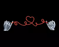 Heartstring Photo String -3D