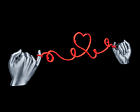 Heartstring Photo String -3D