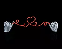 Heartstring Photo String -3D