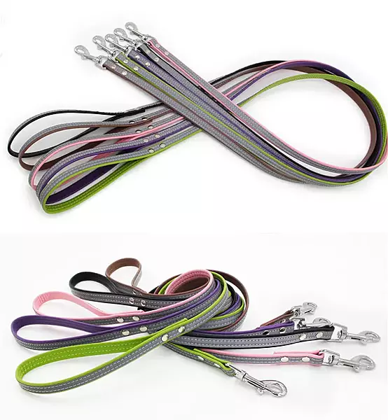 Light Reflective Pet Dog Cat Leash Pet Leashes And Collars