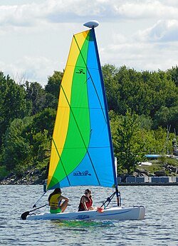 Hobie Bravo Sails-Main Sail Color