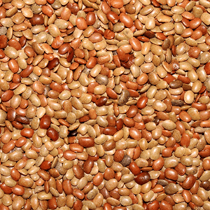 Horse Gram - Kollu